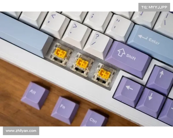 极致FPS游戏磁轴键盘按键数量探秘与性能表现分析